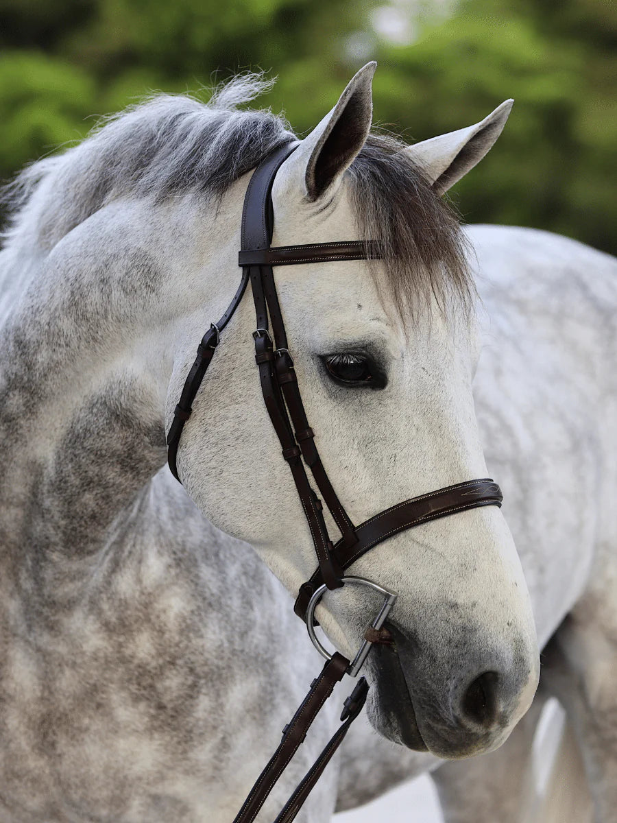For The Horse