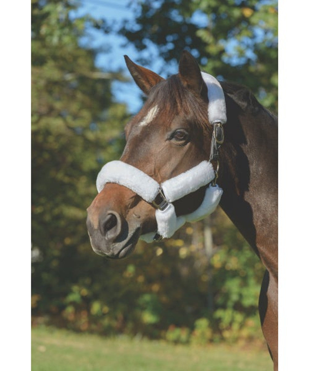 Supafleece Halter Fleece 6 piece- White